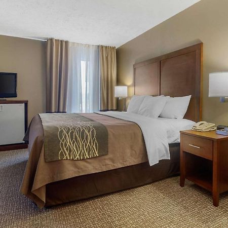 Comfort Inn Bristol Dış mekan fotoğraf